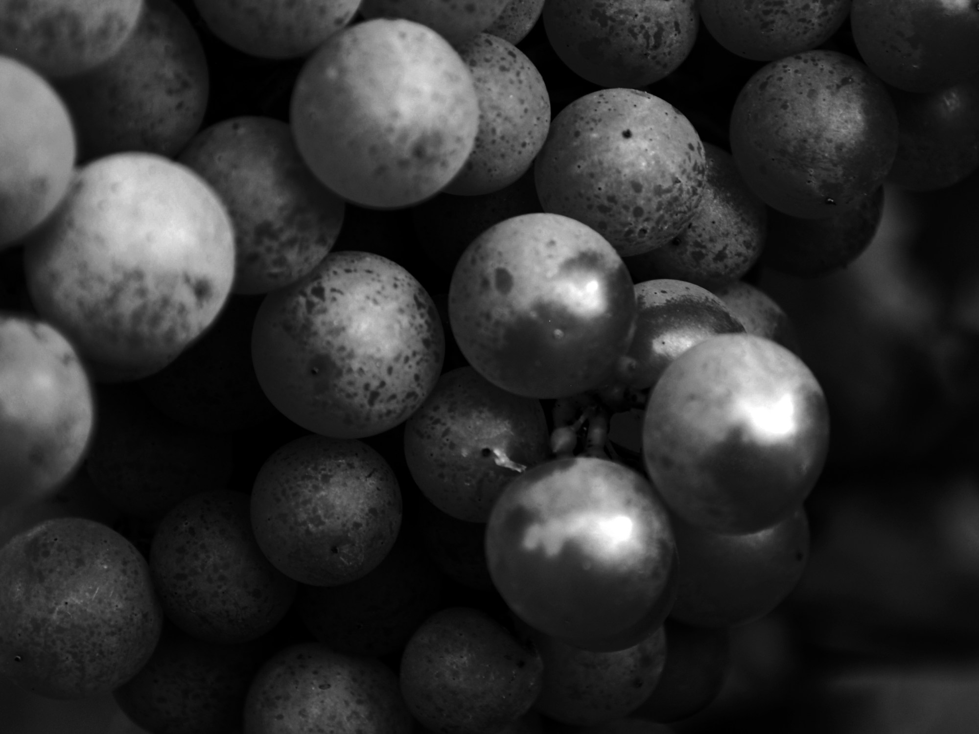 Grapes