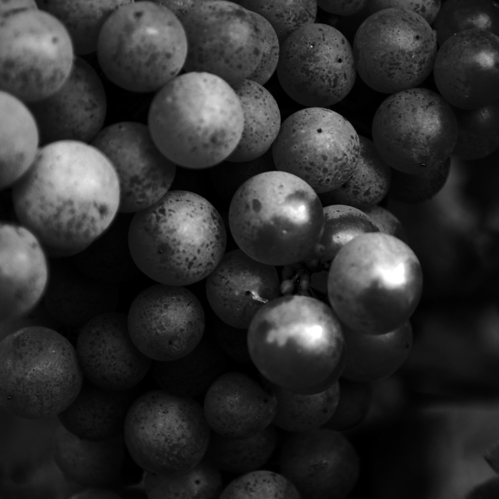 Grapes