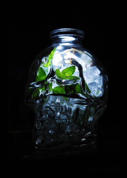 The Crystalline Skull