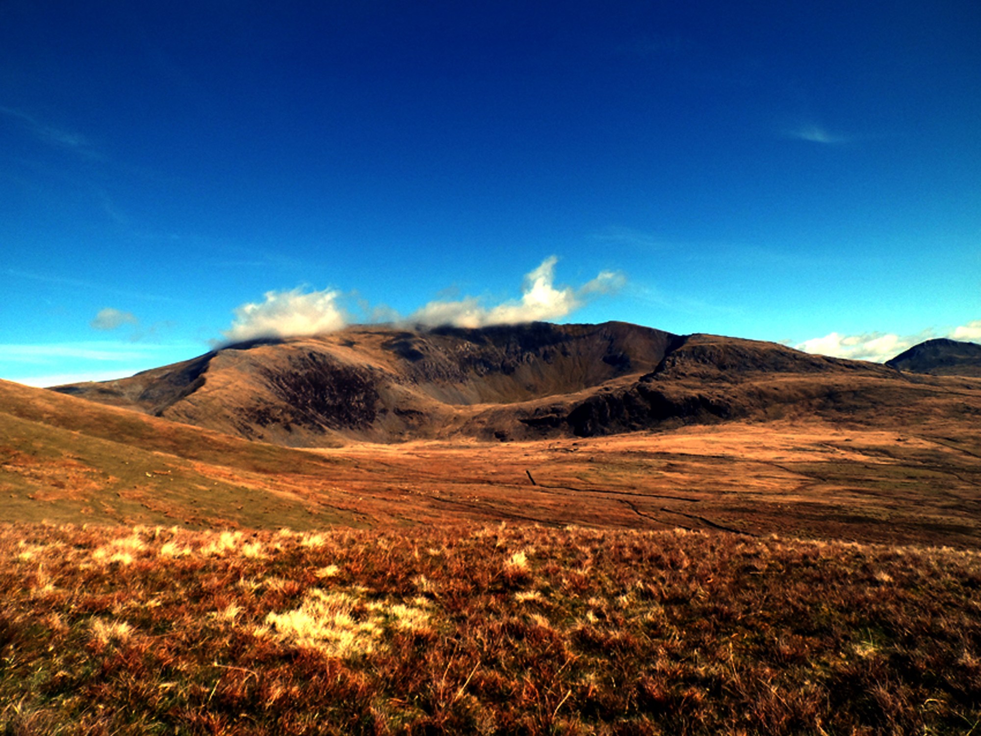 Snowdon Savanna