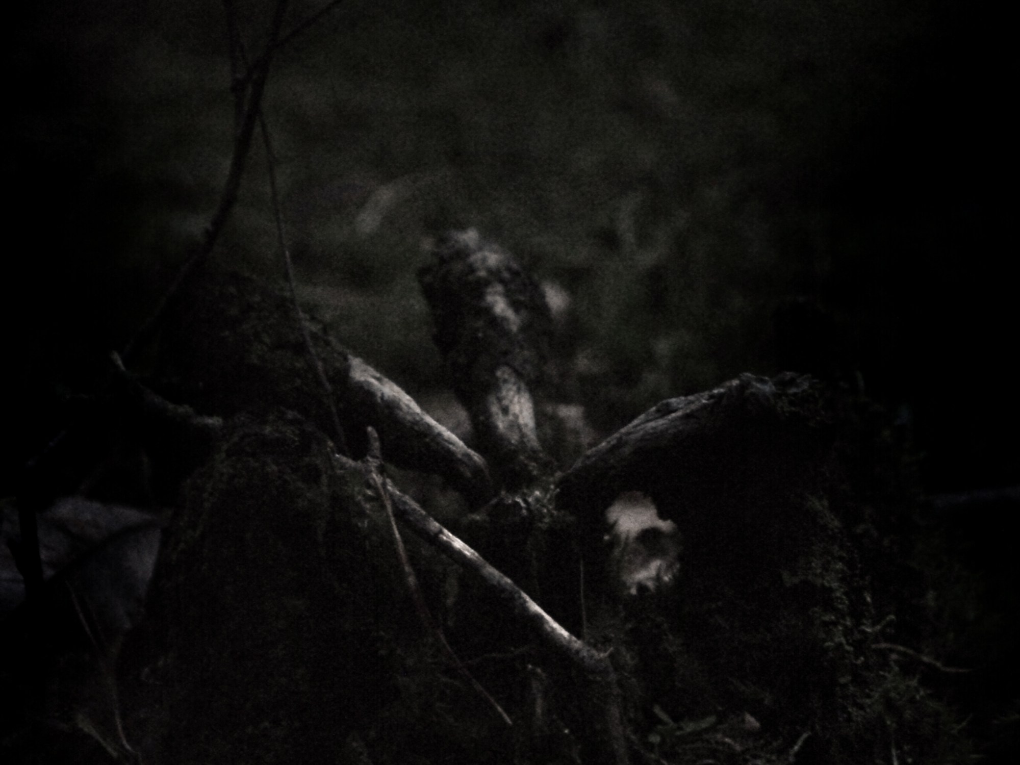 The Errant Glamourie