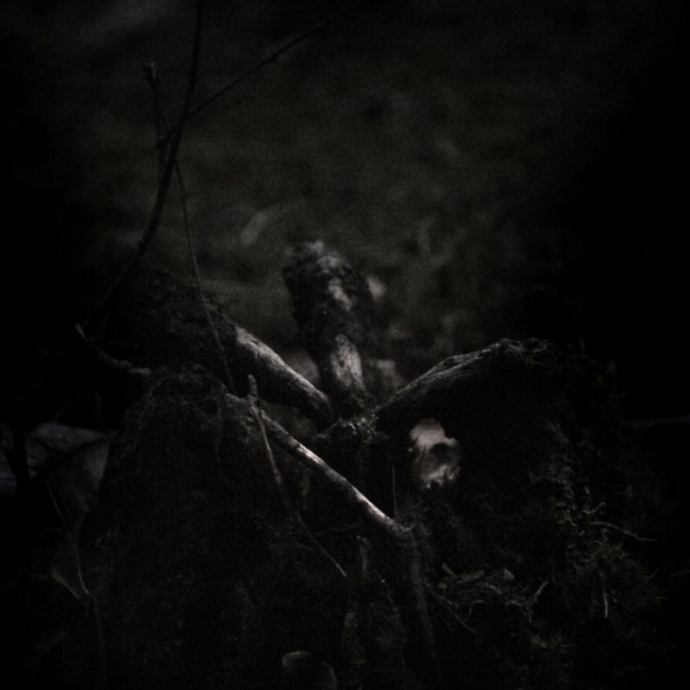 The Errant Glamourie