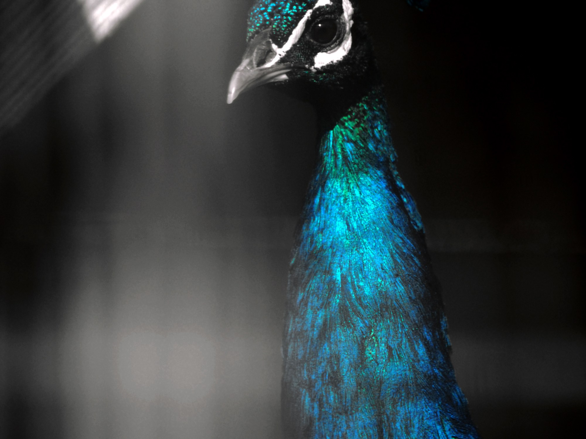 The Nature of Darkness